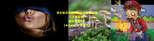 прущие крисы Инсар